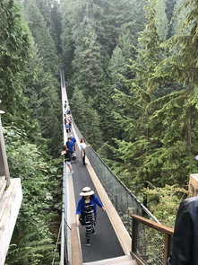 Capilano suspended bridge